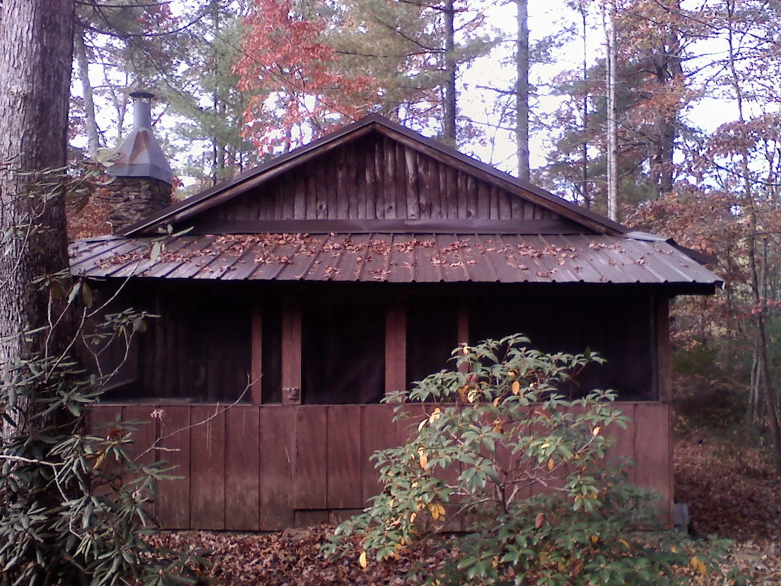 Metal roof over the screened porch of a rustic cabin in Van
